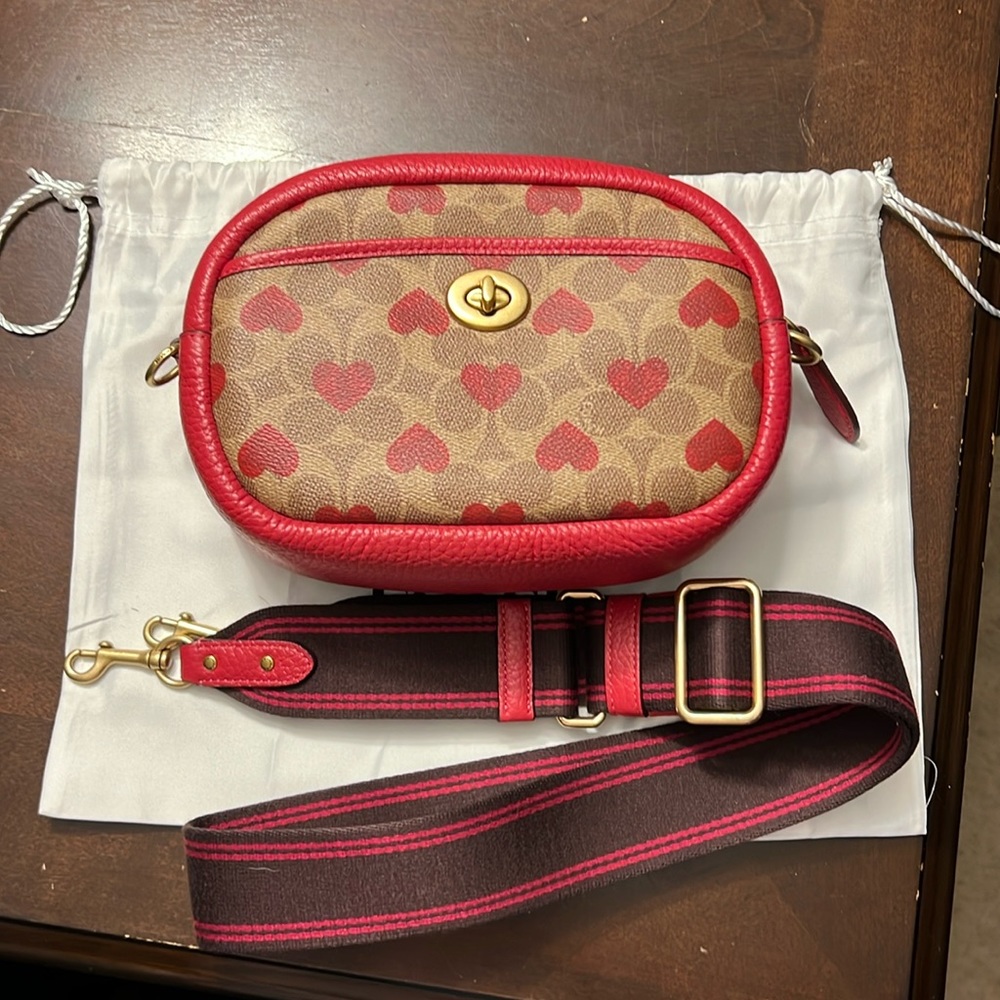 Coach Camera Bag In Signature Canvas With Heart P… - image 1